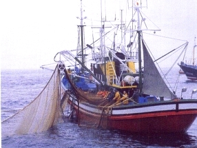 Ministério da Pesca autoriza início das obras de construção do terminal pesqueiro público de Belém