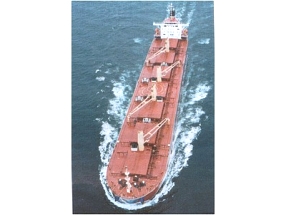 Transporte marítimo: pesquisa prevê queda na utilização da frota global