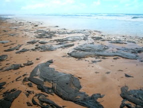 Desastres ambientais, uma fragilidade brasileira diante dos tratados internacionais