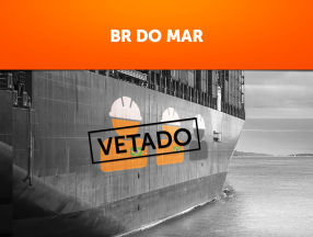 Governo mobiliza base parlamentar e impõe exclusão de empregos para marítimos brasileiros no BR do Mar