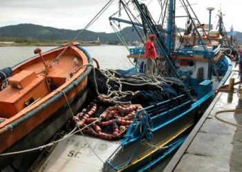 Itajaí recebe título de Capital Nacional da Pesca