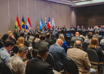 Conttmaf e FNTTAA participam de reunião com especialistas em transportes do Mercosul