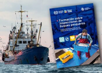 OIT e ITF disponibilizam guia para inspeção em embarcações de pesca