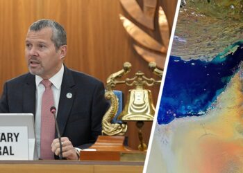 Secretário-Geral da OMI: mortes de marinheiros no Estreito de Ormuz são inaceitáveis